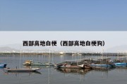 西部高地白梗（西部高地白梗狗）