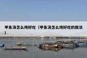 甲鱼汤怎么炖好吃（甲鱼汤怎么炖好吃的做法）