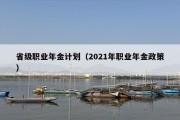 省级职业年金计划（2021年职业年金政策）