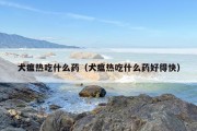 犬瘟热吃什么药（犬瘟热吃什么药好得快）