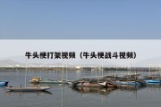 牛头梗打架视频（牛头梗战斗视频）
