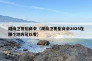 湖南卫视招商会（湖南卫视招商会2024在那个地方可以看）