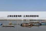上海社保查询网（上海社保查查询）