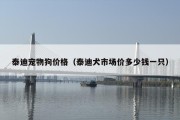泰迪宠物狗价格（泰迪犬市场价多少钱一只）