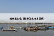 糙米怎么吃（糙米怎么吃才正确）