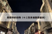 跑得快的动物（十二生肖谁跑得最快）