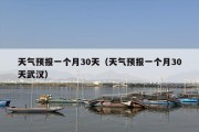 天气预报一个月30天（天气预报一个月30天武汉）