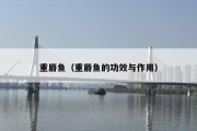 重唇鱼（重唇鱼的功效与作用）