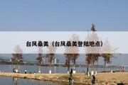台风桑美（台风桑美登陆地点）