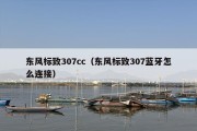 东风标致307cc（东风标致307蓝牙怎么连接）