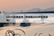 12333在线咨询（劳动局24小时在线咨询）
