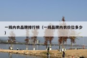 一线内衣品牌排行榜（一线品牌内衣价位多少）