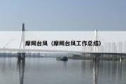 摩羯台风（摩羯台风工作总结）