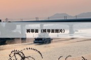 裤带面（裤带面图片）
