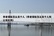 养老保险怎么交个人（养老保险怎么交个人和公司比例）