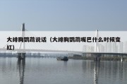 大绯胸鹦鹉说话（大绯胸鹦鹉嘴巴什么时候变红）