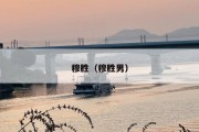 穆胜（穆胜男）