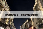 qq炫舞宠物名字（炫舞宠物稀有度排行）