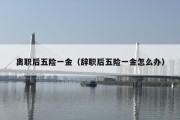 离职后五险一金（辞职后五险一金怎么办）