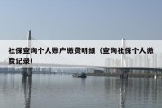 社保查询个人账户缴费明细（查询社保个人缴费记录）