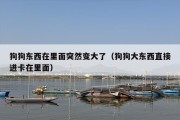 狗狗东西在里面突然变大了（狗狗大东西直接进卡在里面）