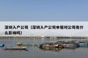 深圳入户公司（深圳入户公司申报对公司有什么影响吗）