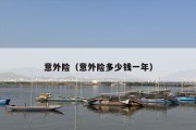 意外险（意外险多少钱一年）