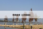 狗狗收索（小狗收纳）