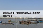 宠物狗的名字（宠物狗的名字大全 狗狗好听的独特名字）