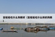 吉娃娃吃什么狗粮好（吉娃娃吃什么样的狗粮）