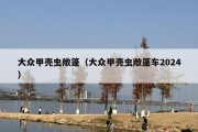 大众甲壳虫敞篷（大众甲壳虫敞篷车2024）