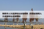 铜陵市人力资源和社会保障网（安徽省铜陵人力资源和社会保障局）
