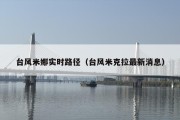 台风米娜实时路径（台风米克拉最新消息）