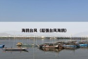海鸥台风（超强台风海鸥）