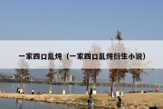 一家四口乱炖（一家四口乱炖衍生小说）