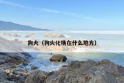 狗火（狗火化场在什么地方）