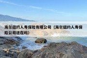 海尔纽约人寿保险有限公司（海尔纽约人寿保险公司还在吗）