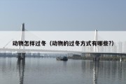 动物怎样过冬（动物的过冬方式有哪些?）