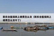 新农合医保网上缴费怎么交（新农合医保网上缴费怎么交不了）