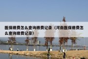 医保缴费怎么查询缴费记录（河南医保缴费怎么查询缴费记录）