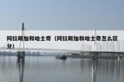 阿拉斯加和哈士奇（阿拉斯加和哈士奇怎么区分）