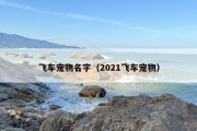飞车宠物名字（2021飞车宠物）