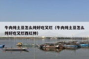 牛肉炖土豆怎么炖好吃又烂（牛肉炖土豆怎么炖好吃又烂西红柿）