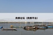 奔腾论坛（奔腾平台）