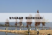 智力玩具品牌（著名的智力玩具）