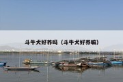 斗牛犬好养吗（斗牛犬好养嘛）