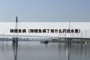 锦鲤鱼病（锦鲤鱼病了用什么药放水里）