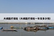 大病医疗保险（大病医疗保险一年交多少钱）