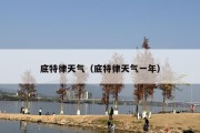 底特律天气（底特律天气一年）