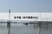 白干酪（白干酪是什么）